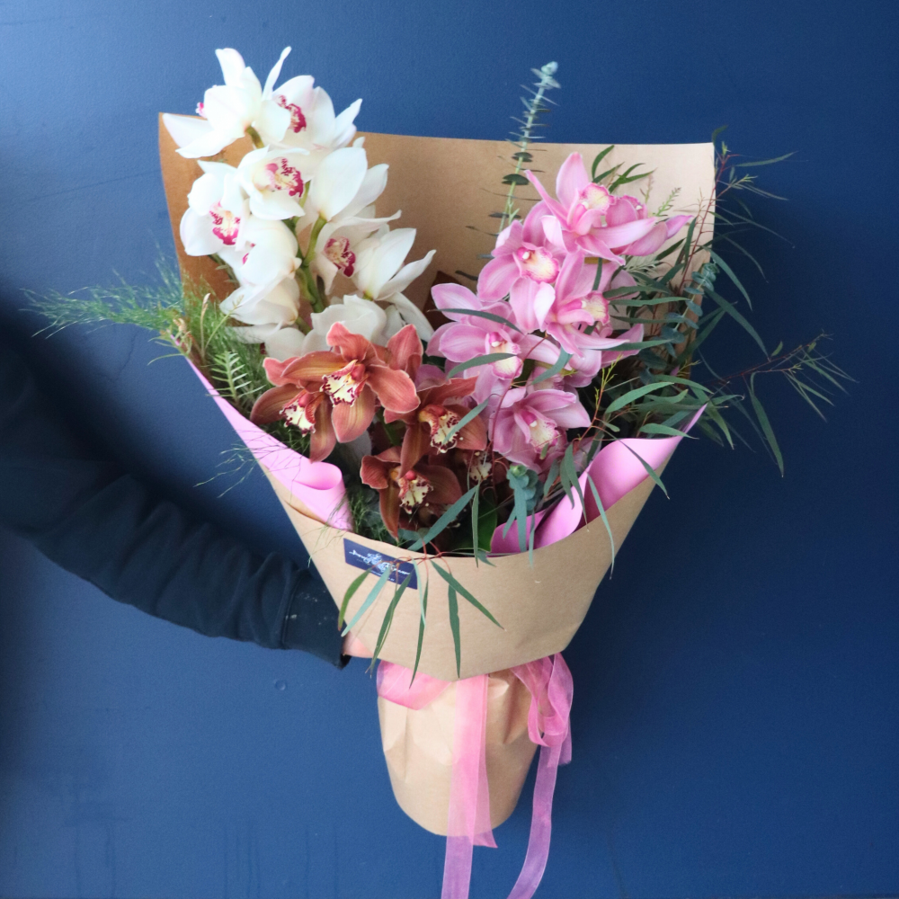 BEST BUY | Classy Cymbidium