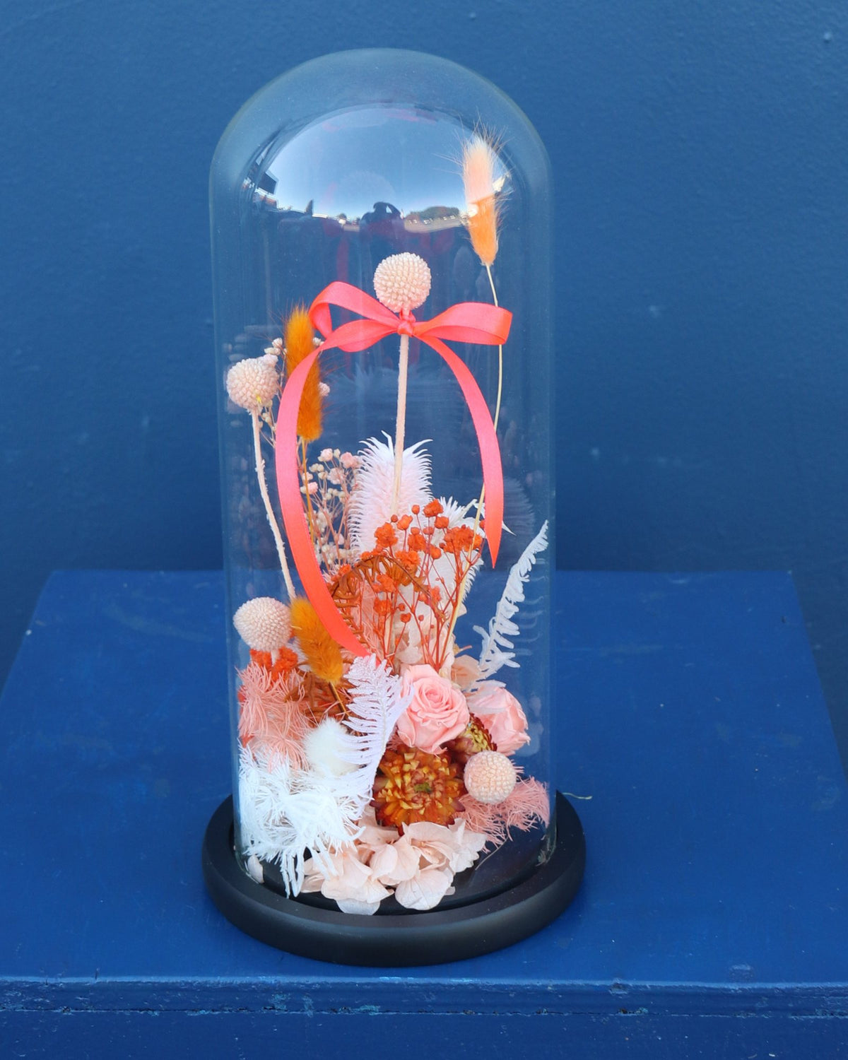 Preserved Dome | Apricot Caramel