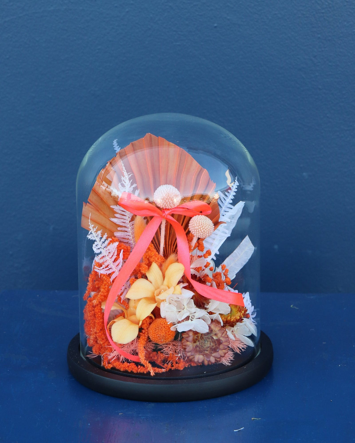 Preserved Dome | Apricot Caramel