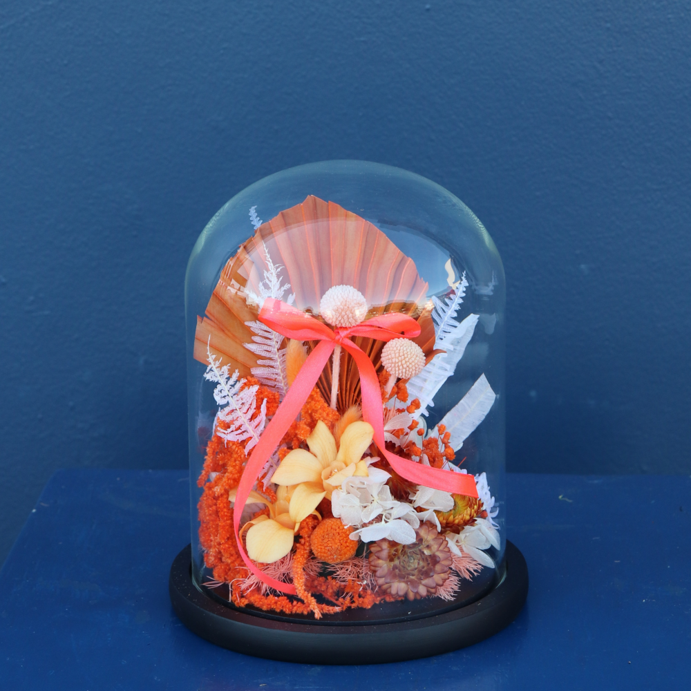 Preserved Dome | Apricot Caramel