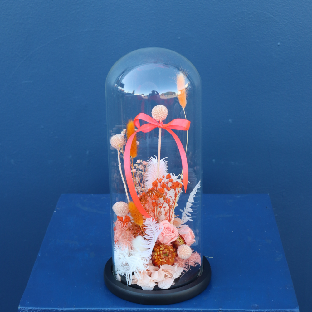 Preserved Dome | Apricot Caramel