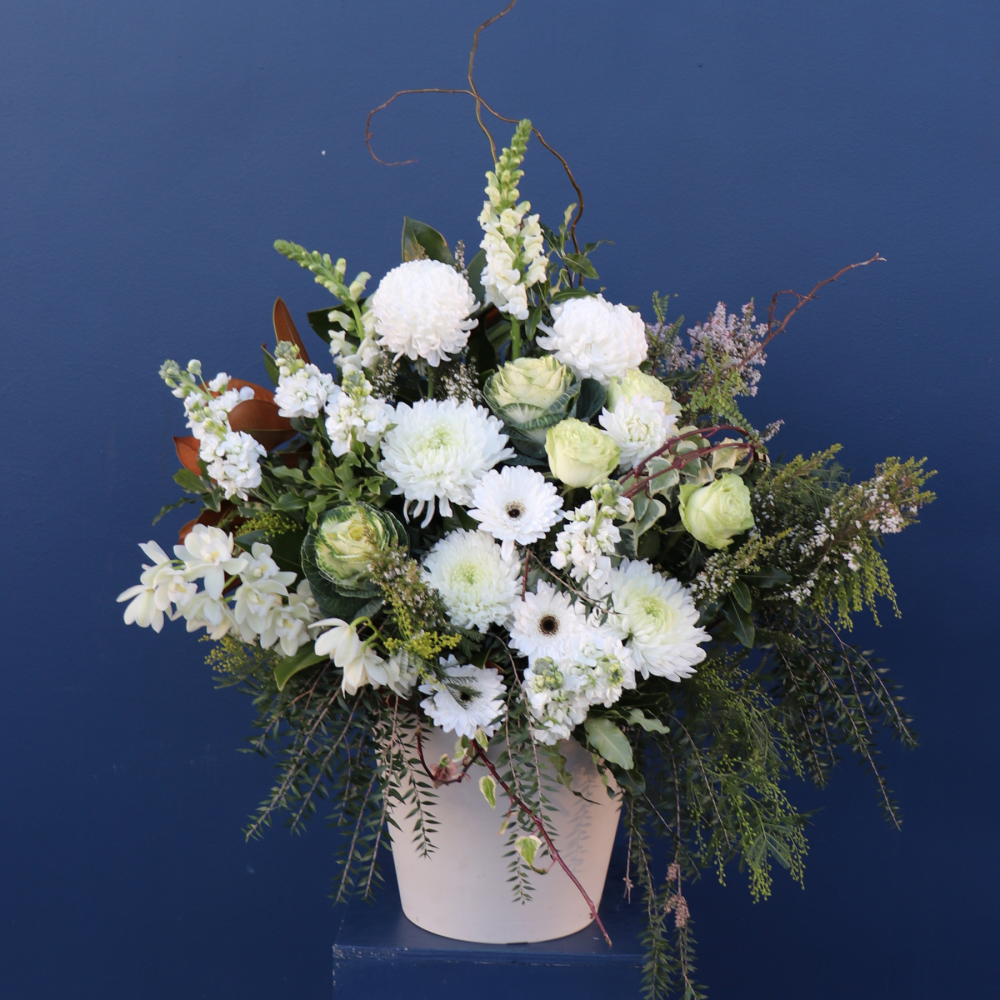 Pedestal | Classic Beauty