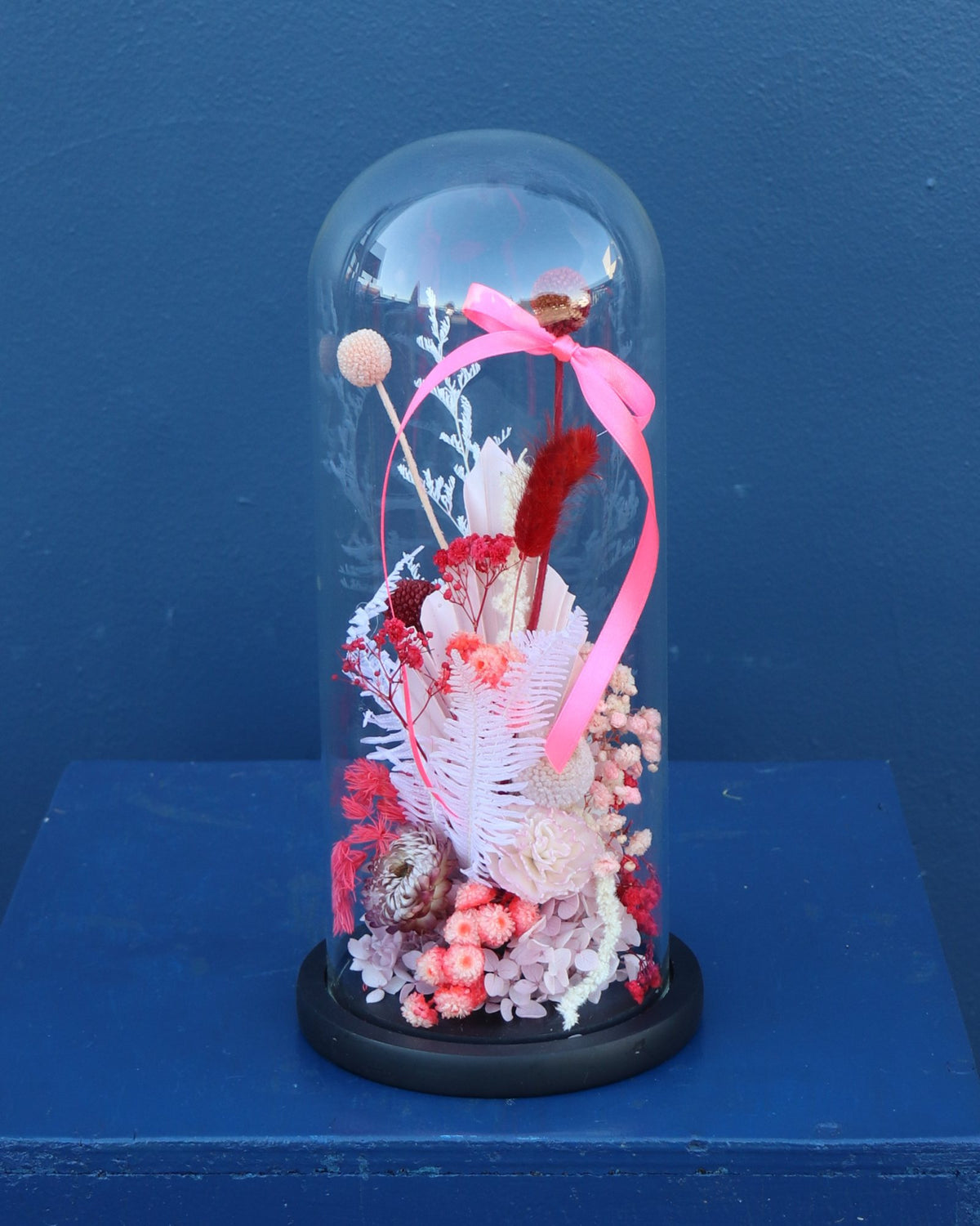 Preserved Dome | Sweet Cherry