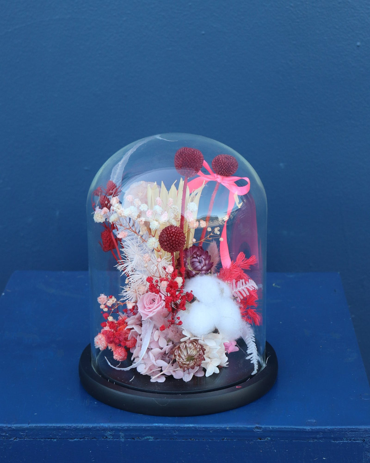 Preserved Dome | Sweet Cherry