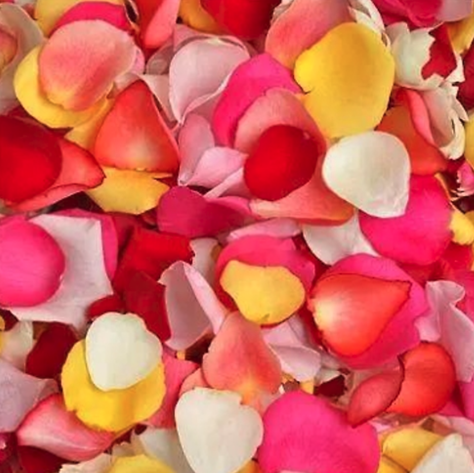 Committals | Petals