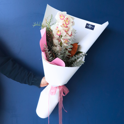 BEST BUY | Classy Cymbidium