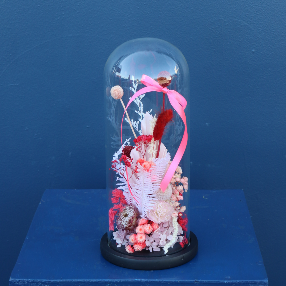 Preserved Dome | Sweet Cherry