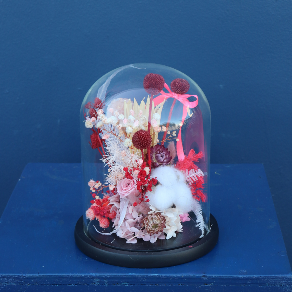Preserved Dome | Sweet Cherry