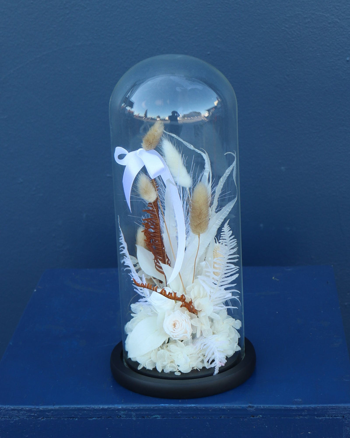 Preserved Dome | Vanilla Bean