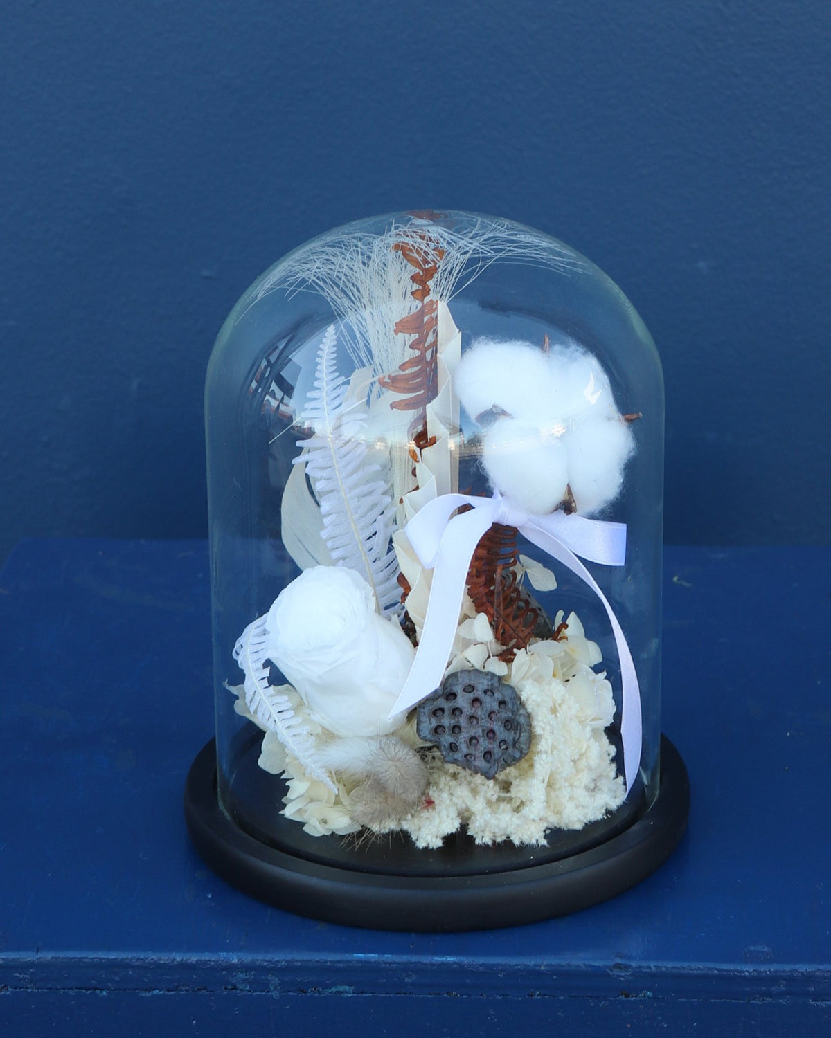 Preserved Dome | Vanilla Bean