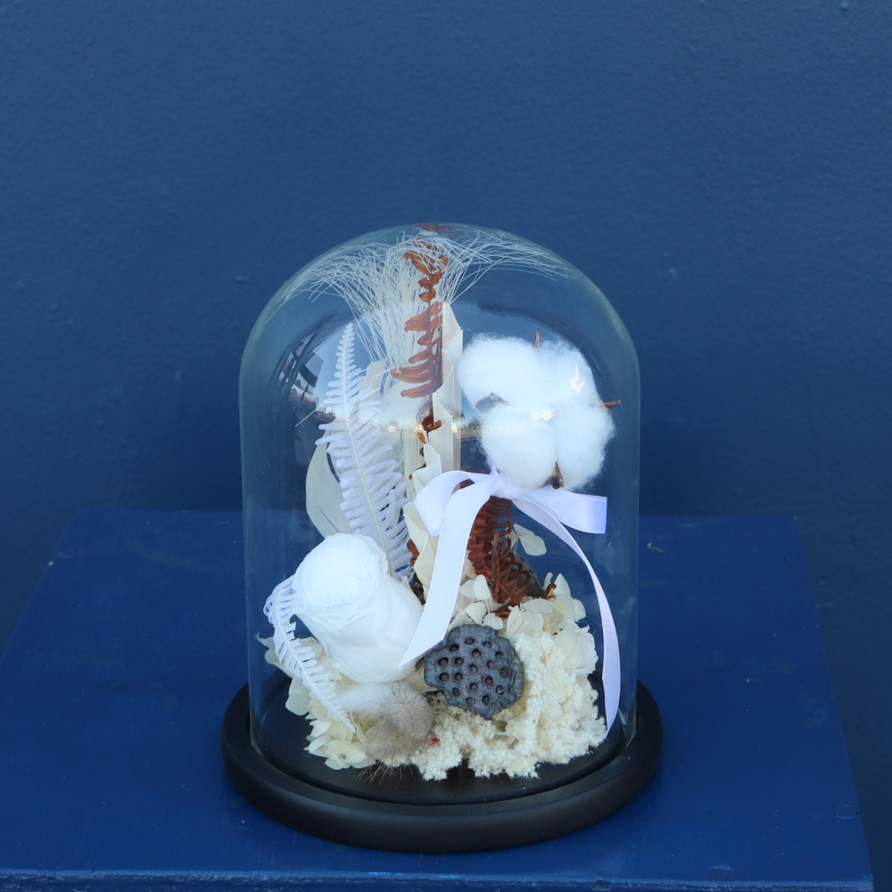 Preserved Dome | Vanilla Bean