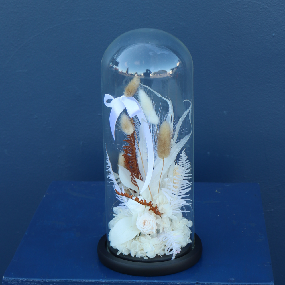 Preserved Dome | Vanilla Bean