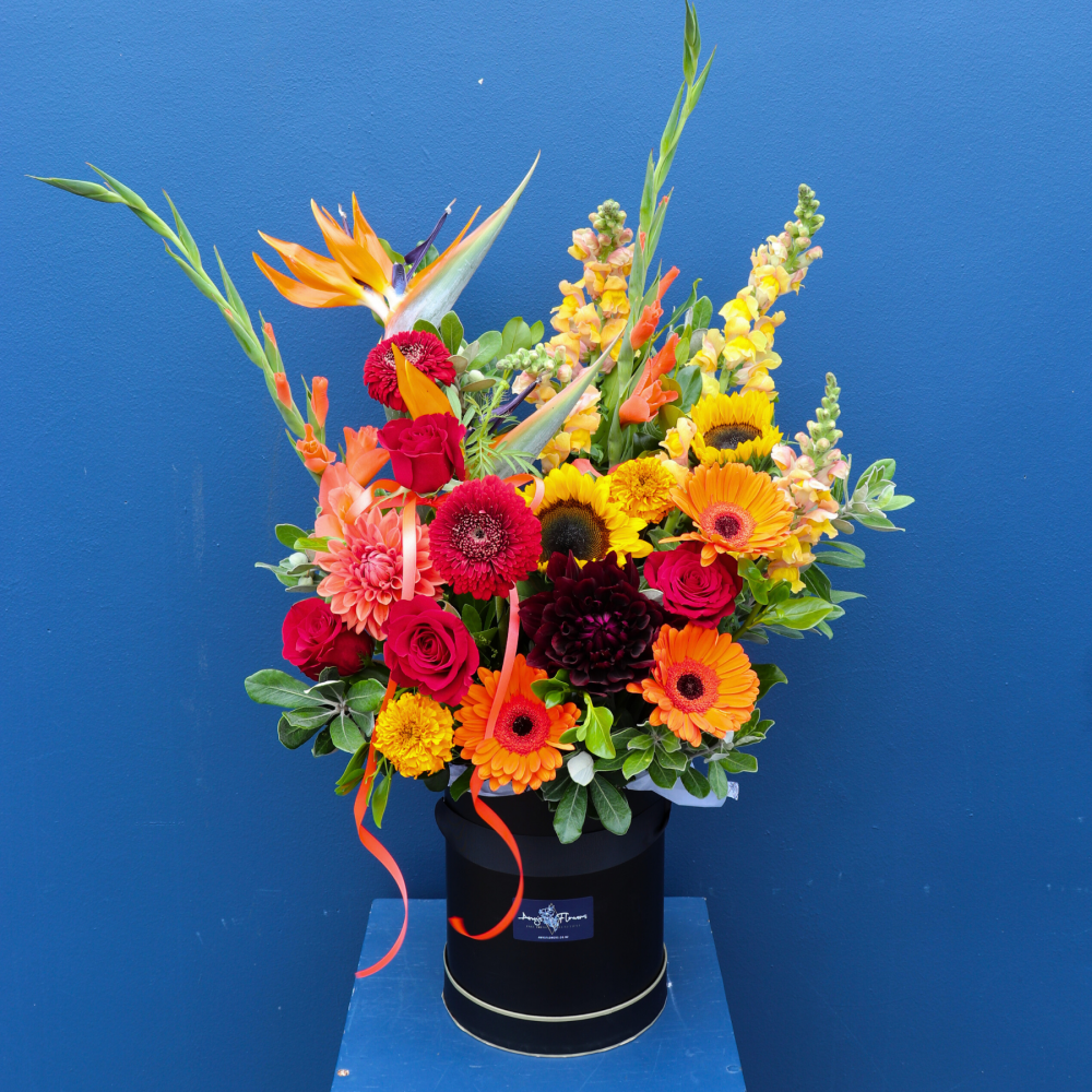 Hat Box | Sending Sunshine